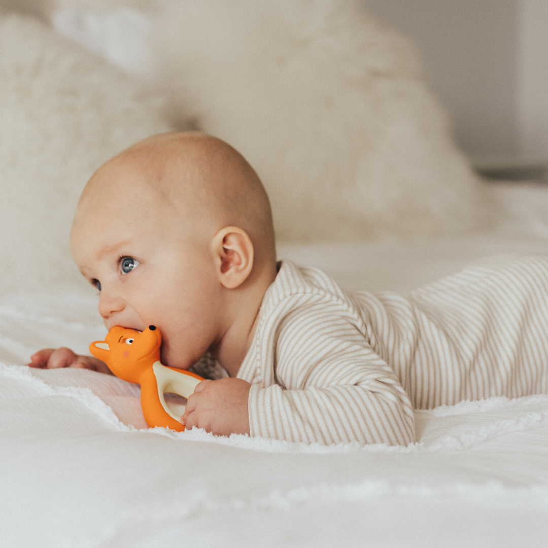 baby holding mini Mizzie