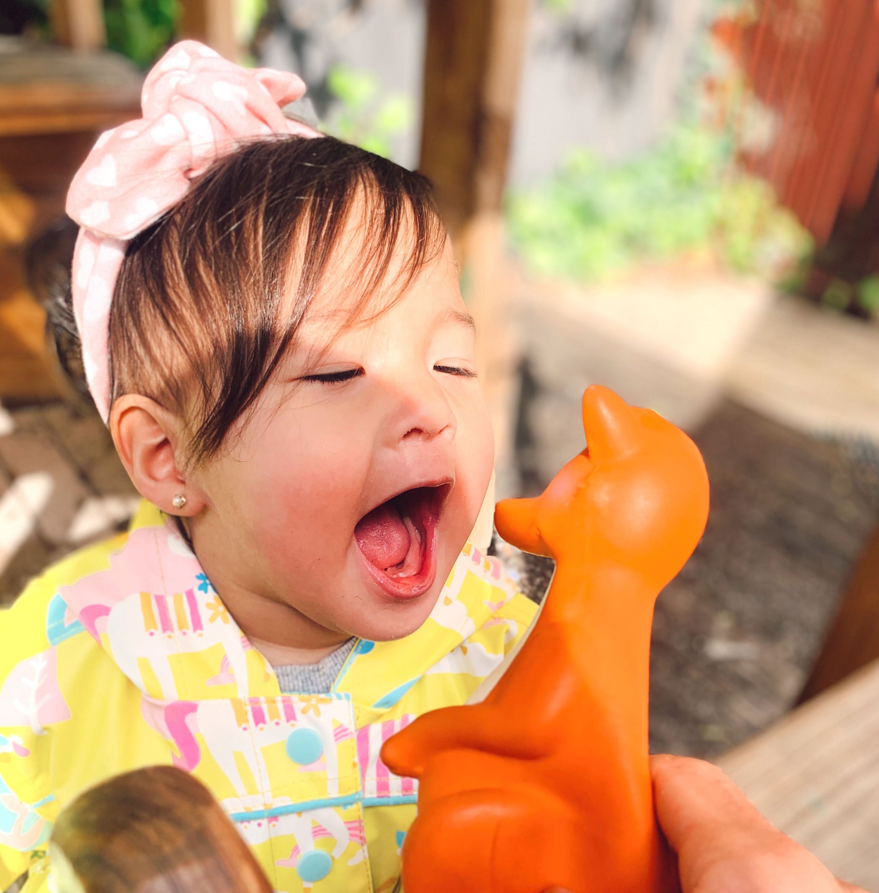 Baby wants to chew a teething toy