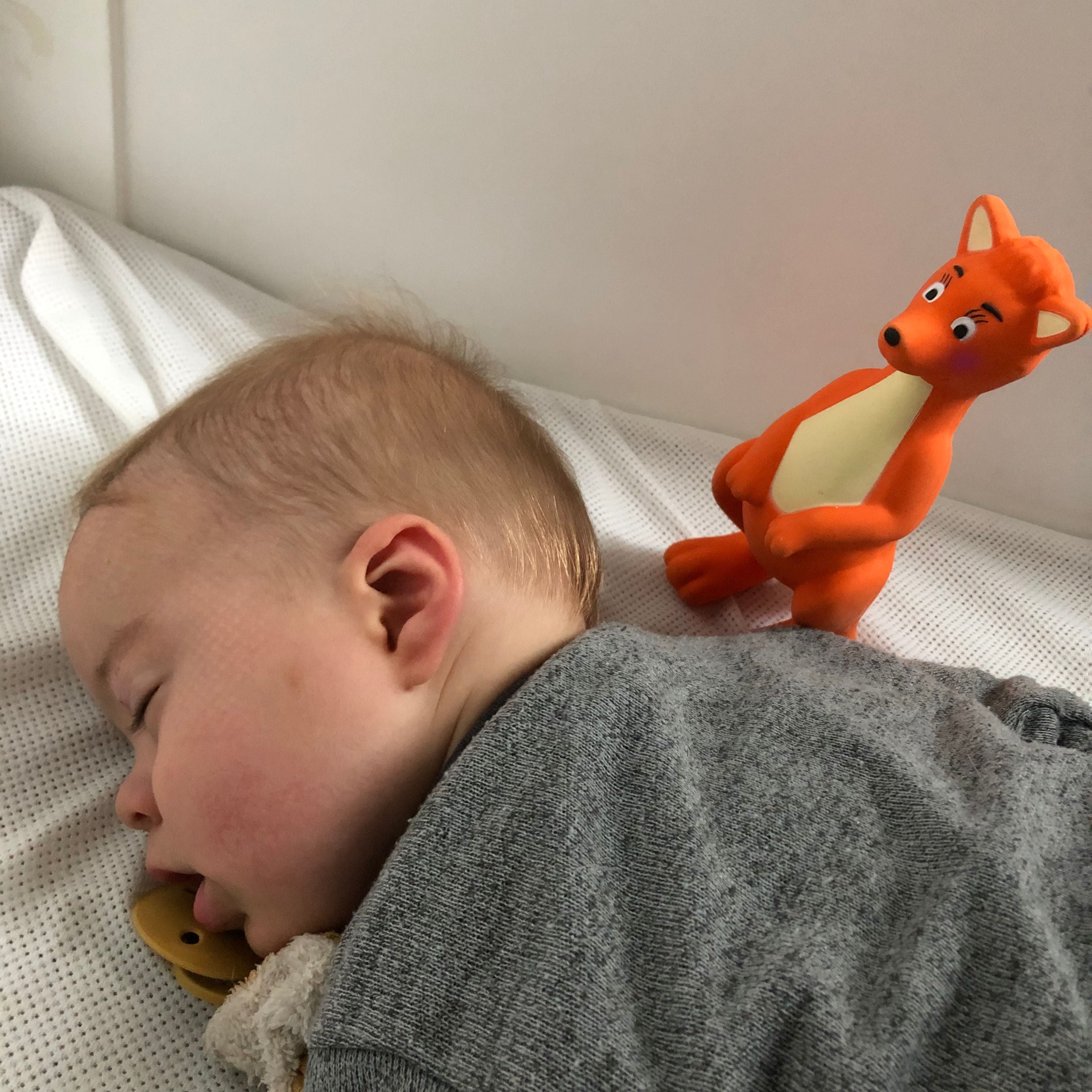 Baby sleeping next to Mizzie