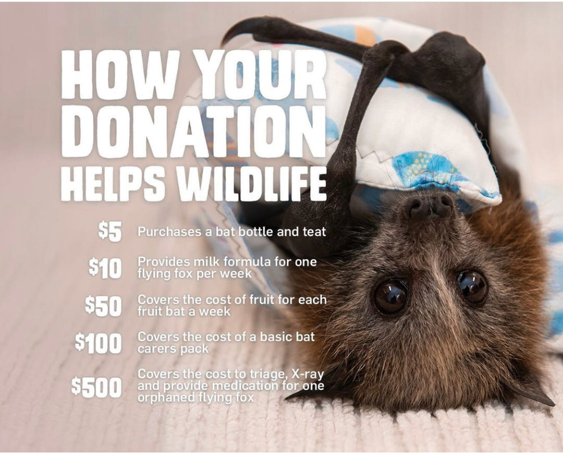 Mizzie The Kangaroo urges consumers to donate to Australia Zoo’s Wildlife Warriors Bushfire Appeal