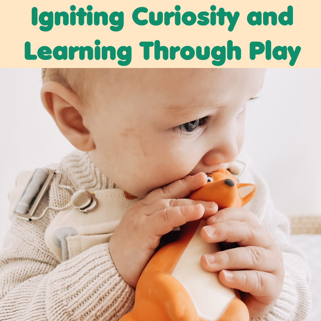Igniting Curiosity and Learning - The Ultimate Educational Toy Wonderland for Babies and Toddlers