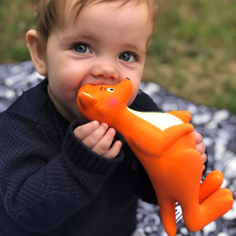 Do Teething Toys Help Teeth Come In? – Mizzie The Kangaroo