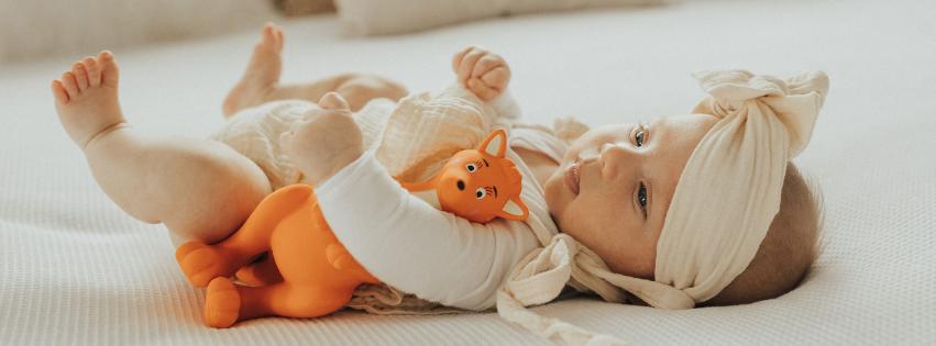 Mizzie Baby Toys